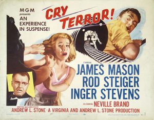 Cry Terror