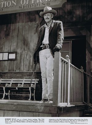 Wild Bunch, The