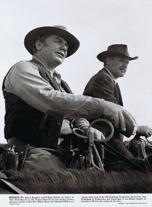 Wild Bunch, The